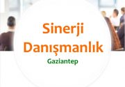 Sinerji Danışmanlık, Psikoloji Eğitim ve Danışmanlık