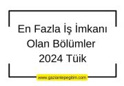 En Fazla İş İmkanı Olan Bölümler 2024 Tüik
