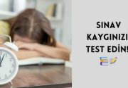 Sınav Kaygısı Testi