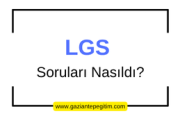LGS Yorumları ve Öneriler